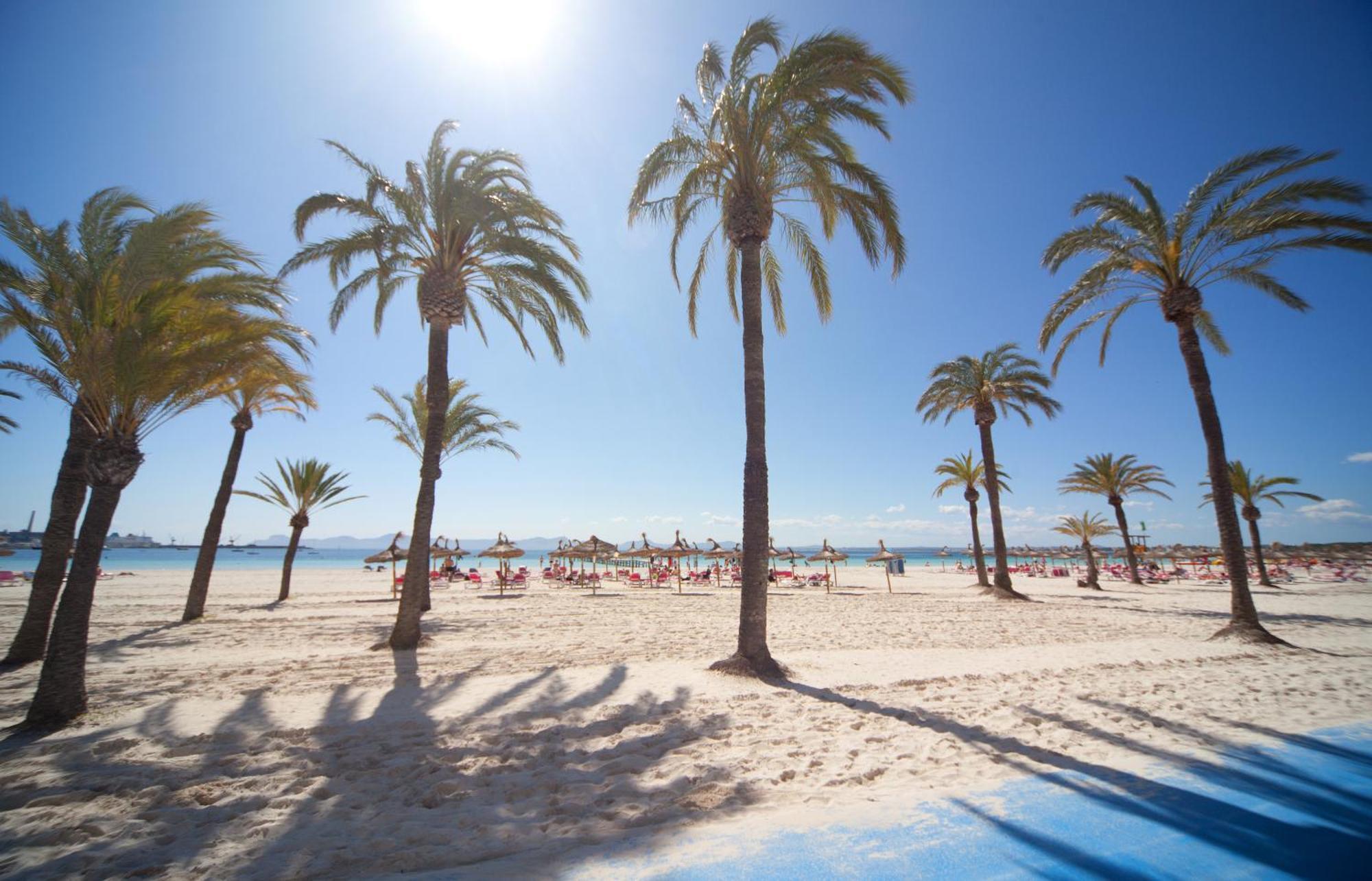 Apartamentos Ferrer Tamarindos Port de Alcudia  Bagian luar foto