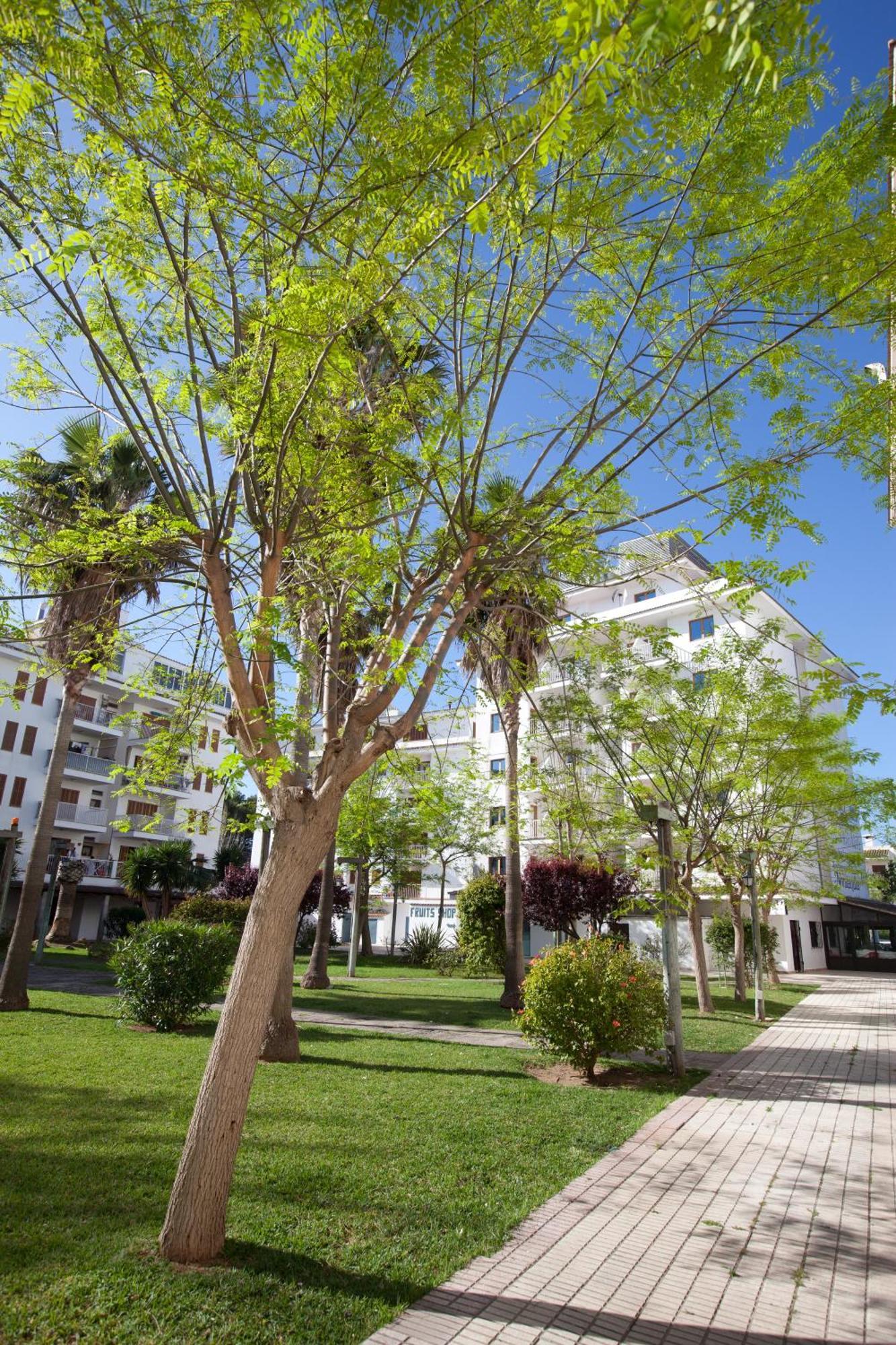 Apartamentos Ferrer Tamarindos Port de Alcudia  Bagian luar foto